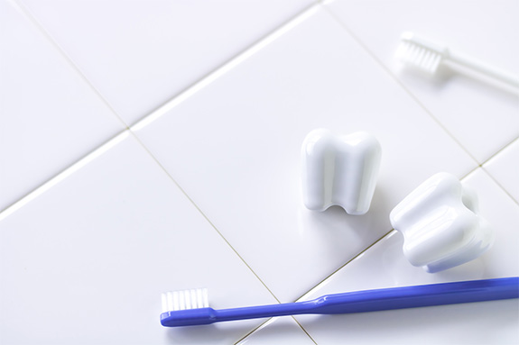 写真：歯と歯ブラシのイメージ